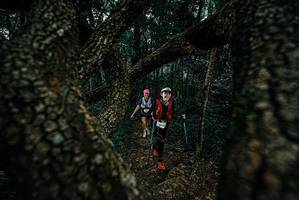 BIB: 
                            <button type="button" onclick="openModal(25685282)" class="btn btn-primary btn-sm float-right btn-popup" data-toggle="modal" data-target=".modal-high-quality">
                        <i class="fas fa-shopping-cart"></i> Add to Cart
                    </button>
                                            <button type="button" onclick="isThisMe(25685282, true)" class="btn btn-success btn-sm float-right btn-popup btn-isme hidden" data-toggle="tooltip" data-placement="bottom" title="นี่คือรูปของคุณใช่ไหม คลิกที่นี่เพื่อเอาเข้าอัลบั้ม">
                        <i class="fas fa-plus"></i> Add to album
                    </button>
                    <button type="button" onclick="isThisMe(25685282, false)" class="btn btn-warning btn-sm float-right btn-popup btn-isnotme hidden">
                        <i class="fas fa-ban"></i> Remove from album
                    </button>